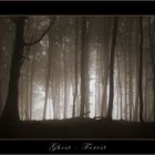 Ghost - Forest