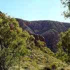 Ghost Gum from a distance [cut]