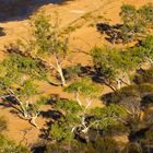 Ghost Gums im Kalbarri Nationalpark