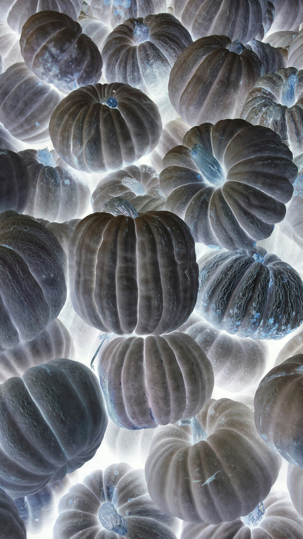 Ghost Pumpkins