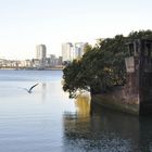 Ghost ship reck, Sydney Australia