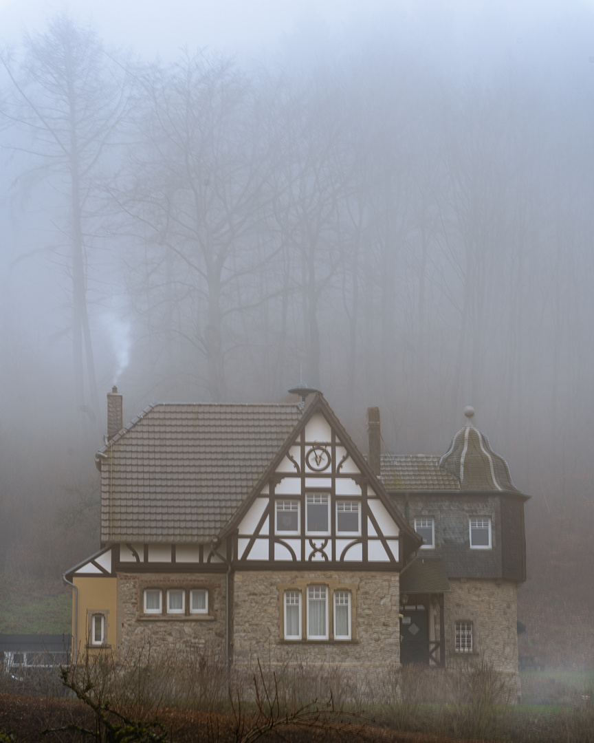 Ghosthouse in moody forest