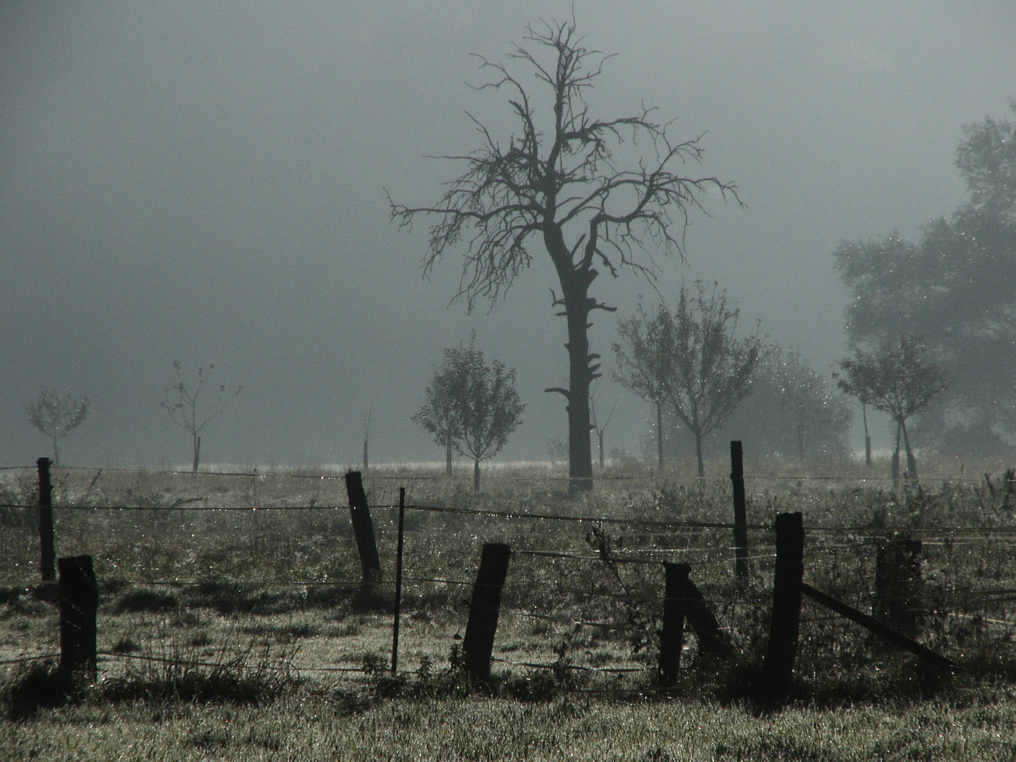 Ghostland - Nebel im Weserbergland