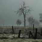 Ghostland - Nebel im Weserbergland