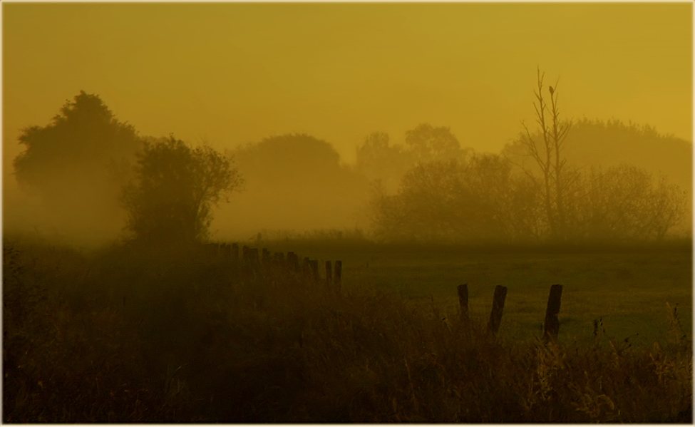 * Ghostly Morning *