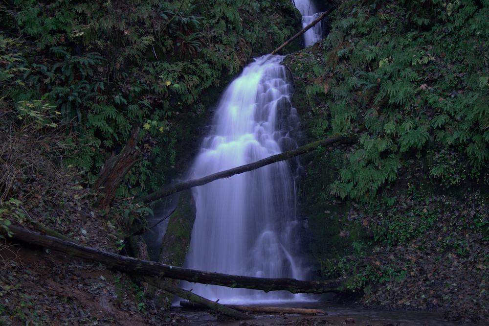 Ghosts in the Falls