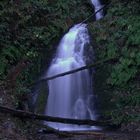 Ghosts in the Falls