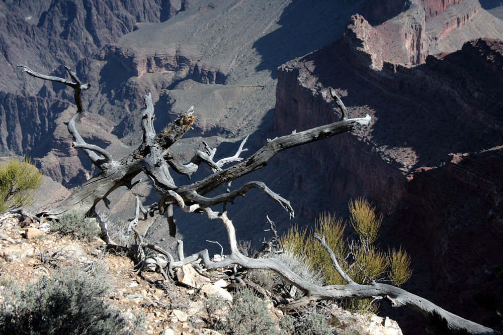 Ghosts...Grand Canyon