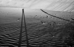 'giacometti' in the dunes