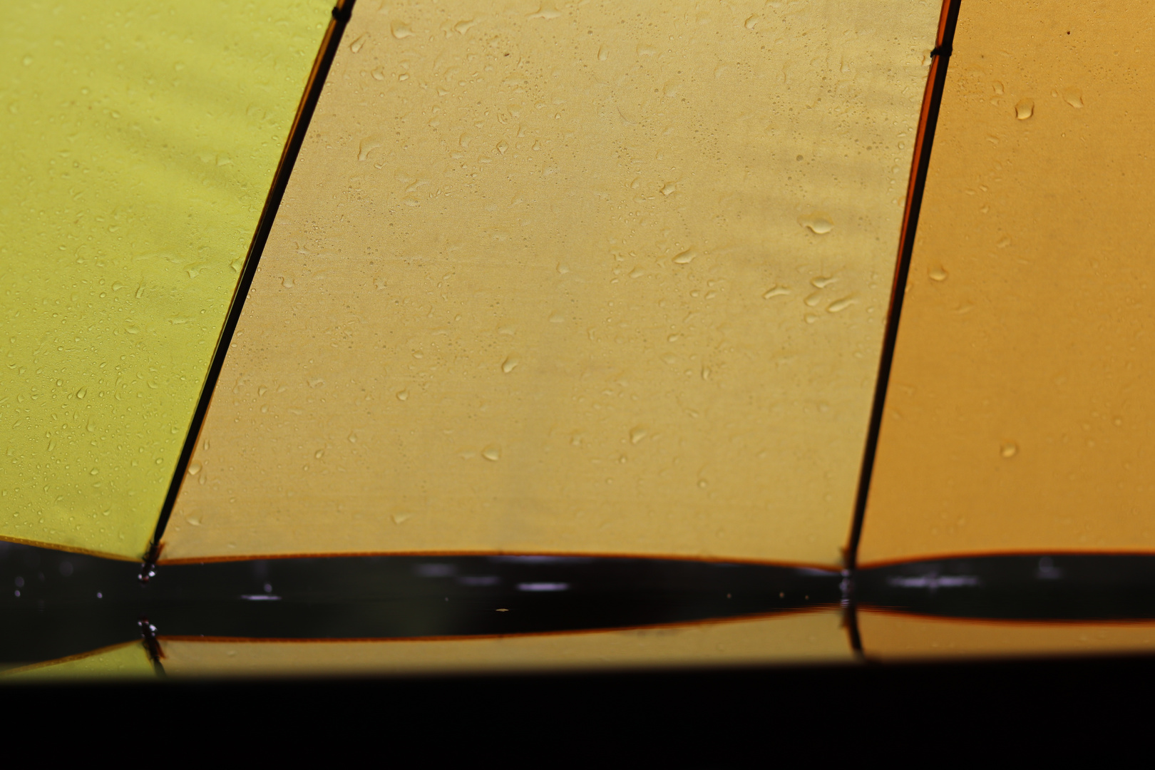 Giallo 