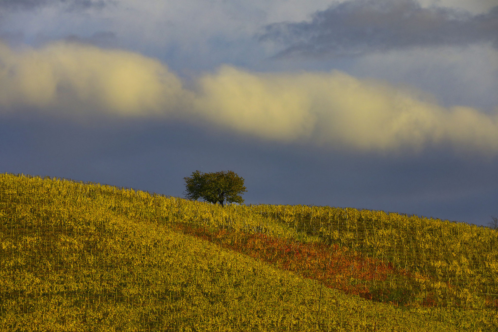 giallo con rosso