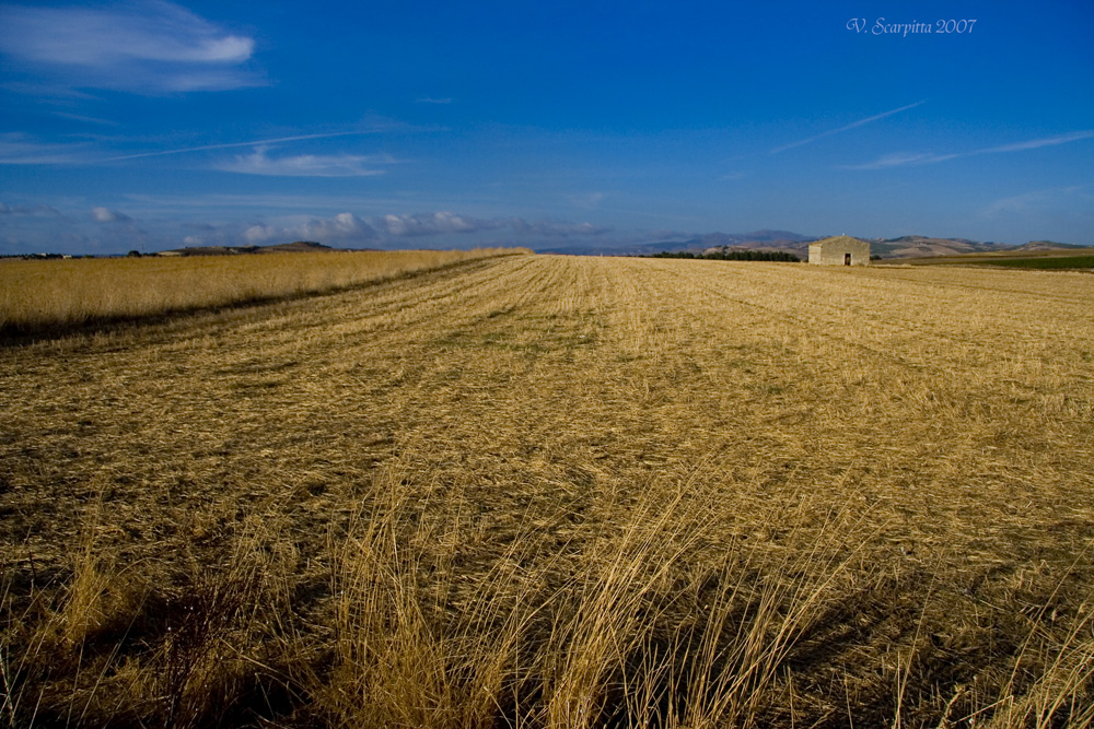 giallo in Sicilia