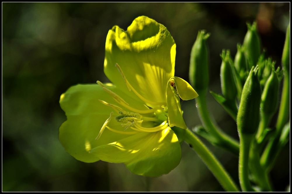 Giallo sul Po