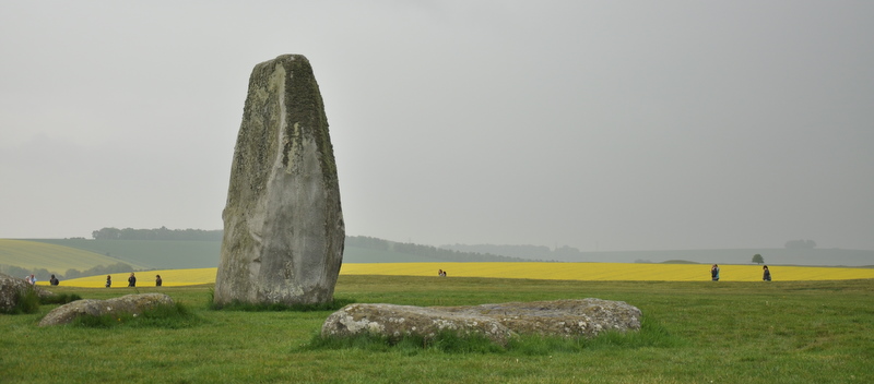 giallo-verde-grigio