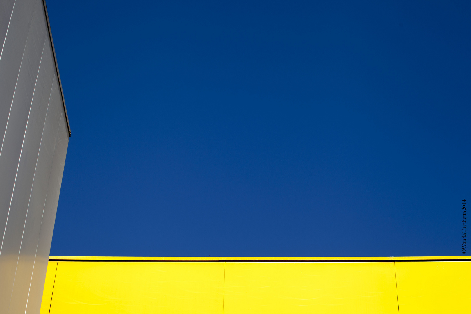 gialloblu