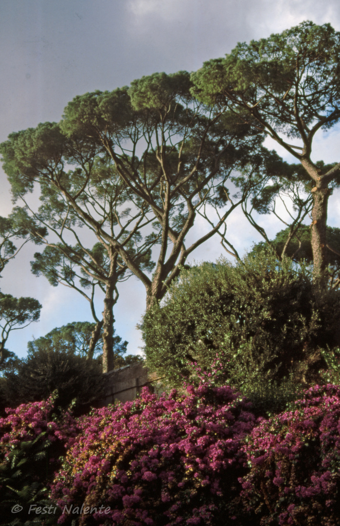 Gianicolo? Foto & Bild europe, italy, vatican city, s marino, italy