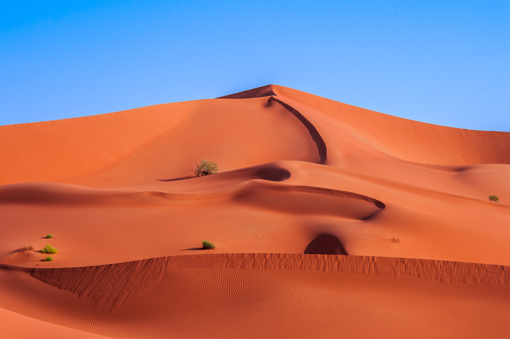 Giant Dunes