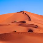 Giant Dunes