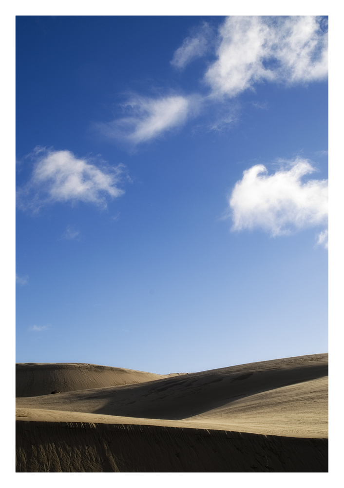 Giant Dunes, Northland