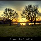 Giant Poolballs