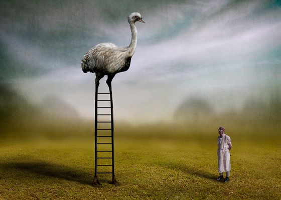 Giant under controle