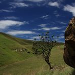 Giant`s Castle, KwaZulu-Natal, Südafrika