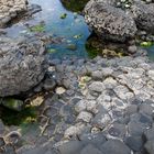 Giant's Causeway