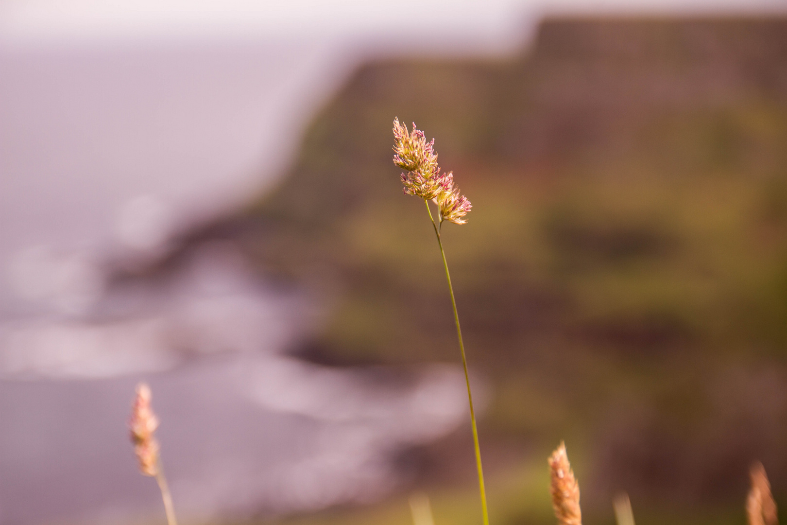 Giant's Causeway