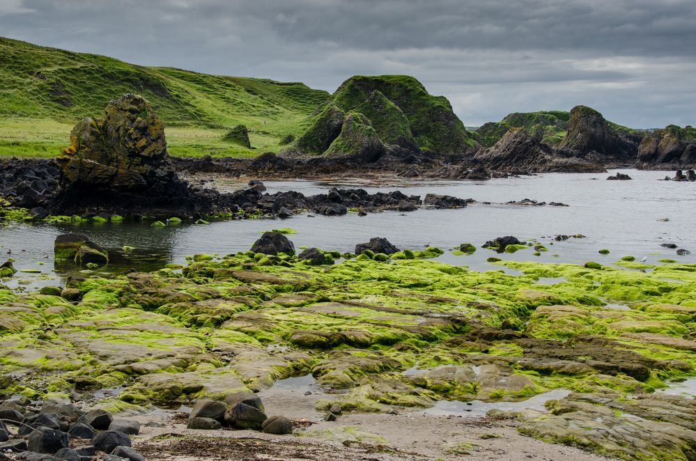 Giant's Causeway Coastal Walk