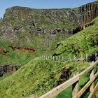 Giants Causeway coastel walk 