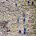 Giant’s Causeway von oben