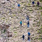 Giant’s Causeway von oben