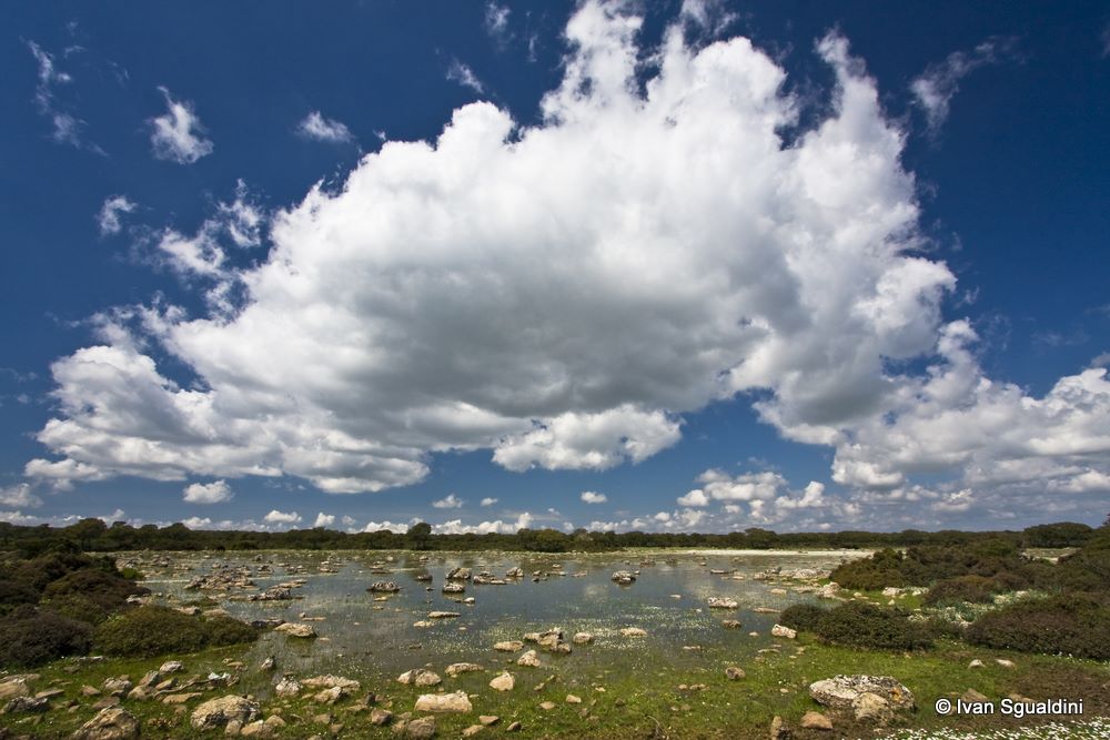 Giara di Gesturi - Sardegna