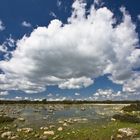 Giara di Gesturi - Sardegna