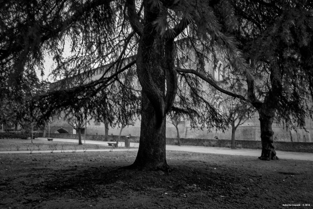 Giardini del castello, Pavia