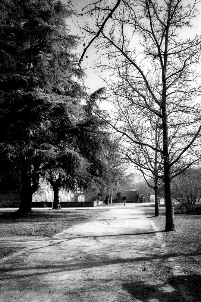 Giardini del castello Visconteo, Pavia