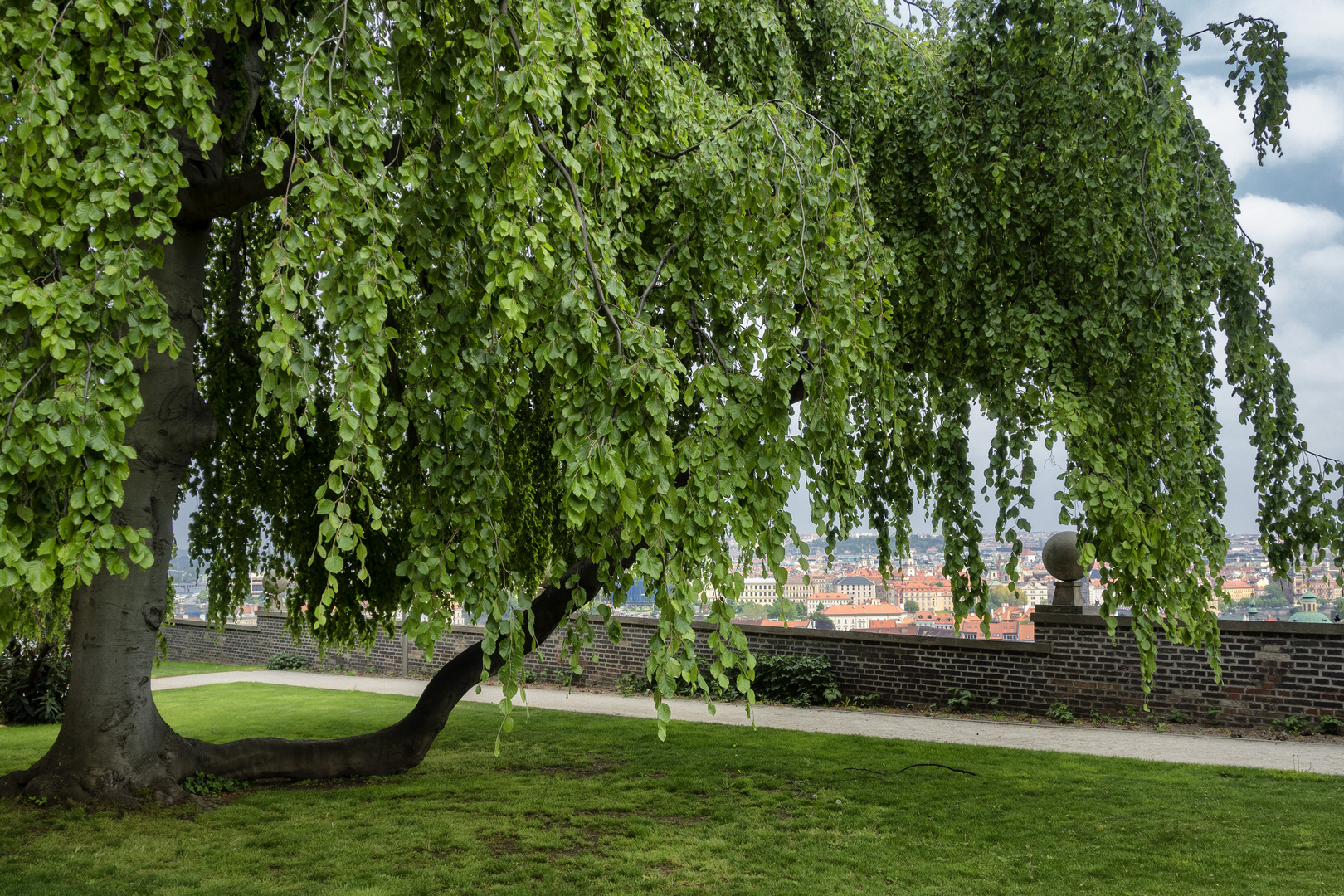 Giardini del castelo di Praga