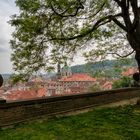 Giardini del castelo di Praga