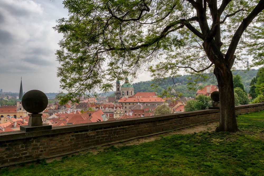 Giardini del castelo di Praga