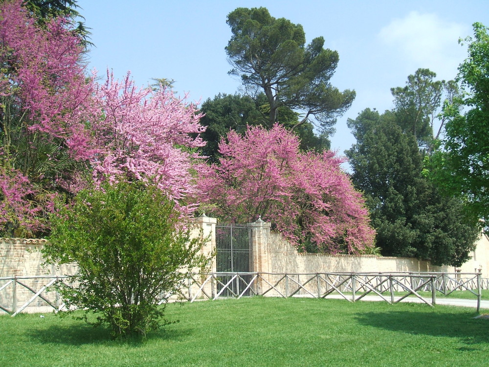 giardini dell'Abbadia di Fiastra (MC)