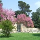 giardini dell'Abbadia di Fiastra (MC)