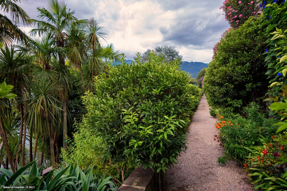 Giardini dell'Isola Madre