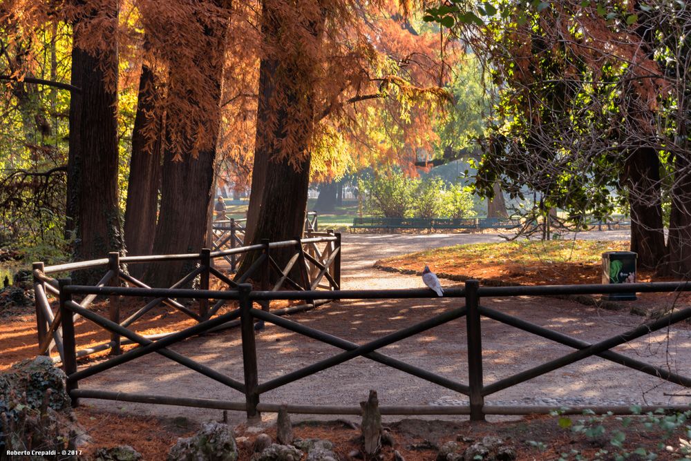 Giardini di Porta Venezia, Milano