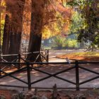 Giardini di Porta Venezia, Milano