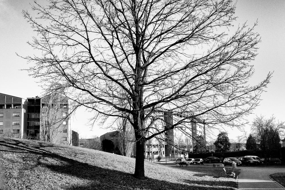 Giardini ex esselunga, Pioltello