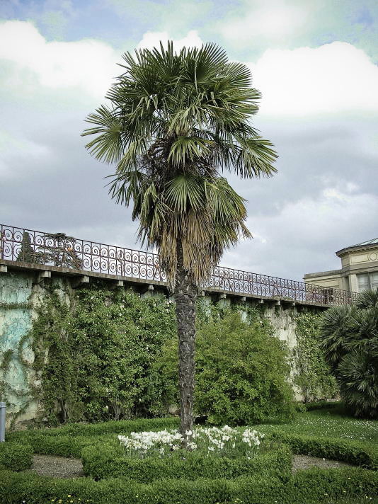 Giardini fiorentini