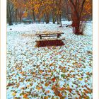 Giardini in tardo autunno