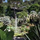 Giardini La Mortella auf der kleinen italienischen Insel Ischia