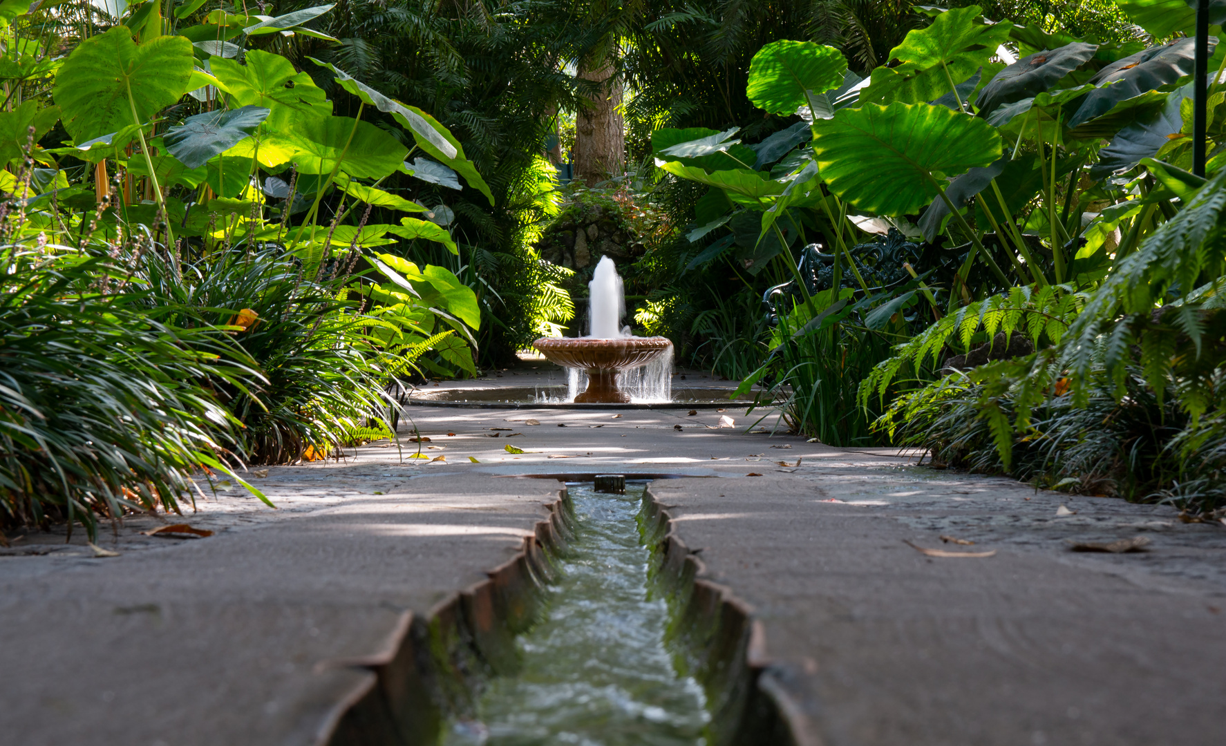 Giardini La Mortella auf Ischia 1