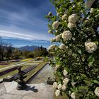 Giardini terrazzati